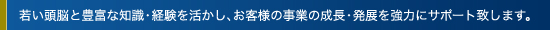 税務だけでなく、会計・経営・株式上場・内部統制・開示に強い、税理士・公認会計士です。